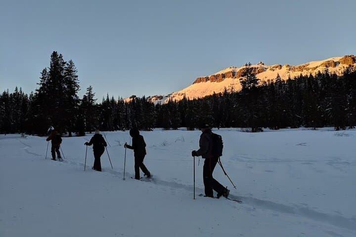 Lake Tahoe Sunset Snowshoe Trek: Winter Trails and Alpine Views photo 5