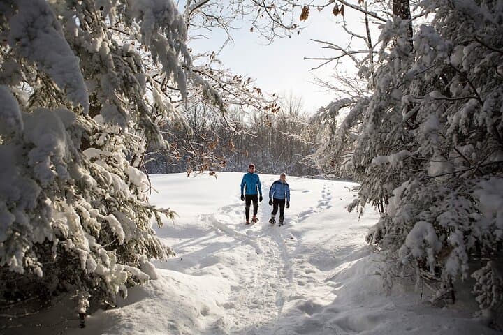 Lake Tahoe Sunset Snowshoe Trek: Winter Trails and Alpine Views photo 3