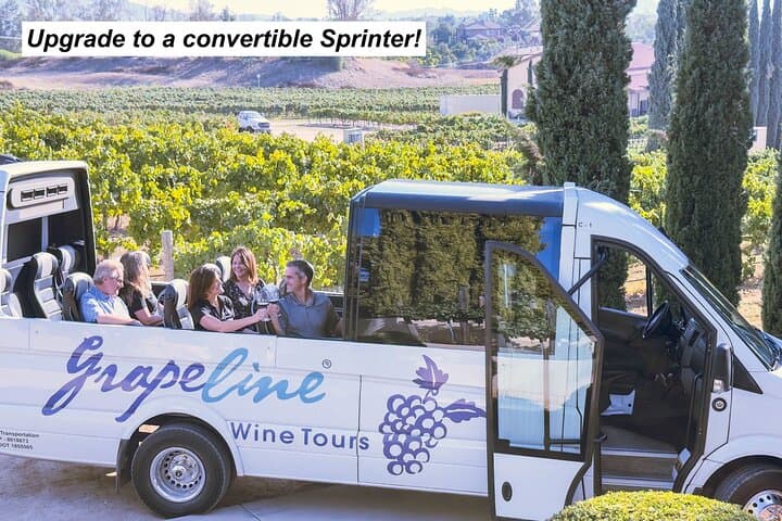 Temecula Valley Wine Tour: 3 Wineries, Picnic Lunch & Hotel Pickup photo 4