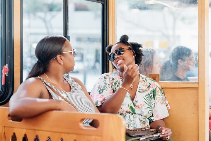 Tampa City Trolley Tour: 90-Minute Open-Air Downtown Experience photo 2