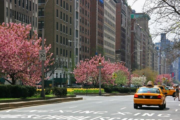 Guggenheim Ticket & Carnegie Hill Audio Walking Tour — NYC Museum Mile Guide photo 4