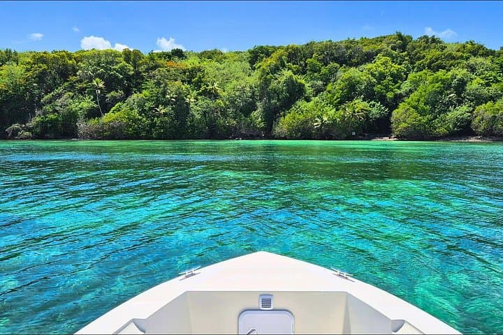 Eco-Responsible Sea Trip to Tub de Joséphine and Îlet Chancel, Martinique photo 1