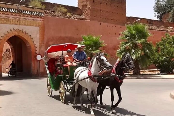 Traditional Marrakech Horse-Drawn Carriage Ride and Menara Gardens Tour photo 2