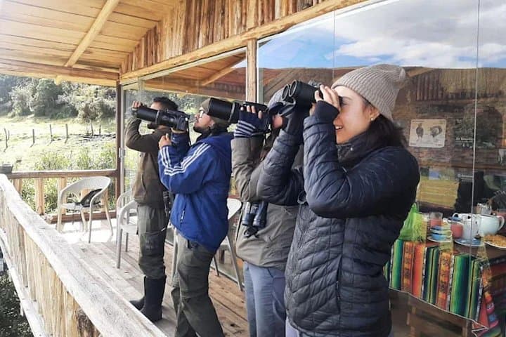 Antisana Day Trip: Private Andean Condor & Glacier Lagoon Wildlife Tour from Quito photo 2