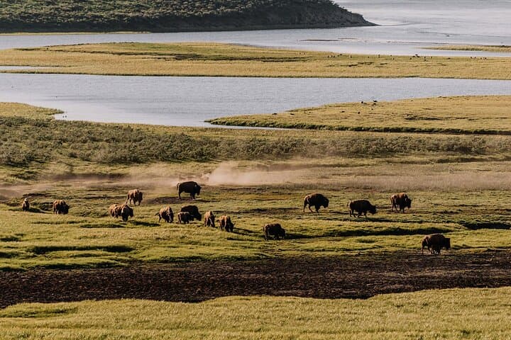 Yellowstone Grand Loop Self-Guided Driving Tour — 140-Mile GPS Audio Guide photo 6
