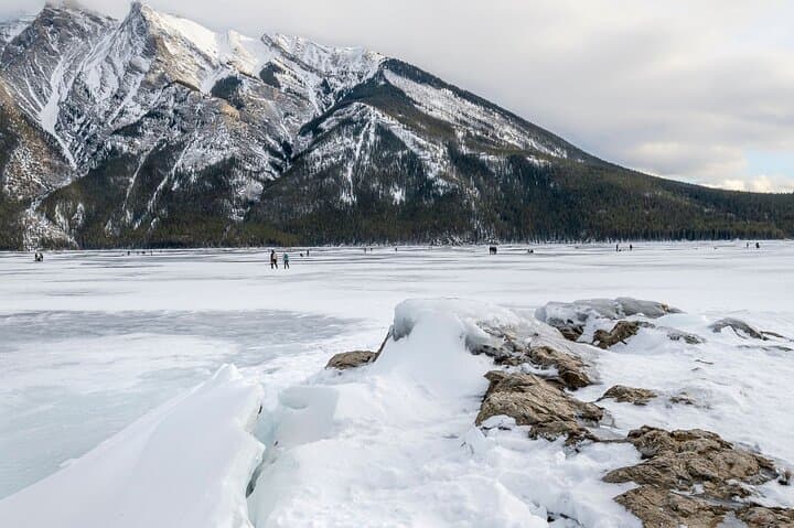 Explore Banff Wildlife: 3-4 Hour Scenic Wildlife & Sightseeing Tour photo 2