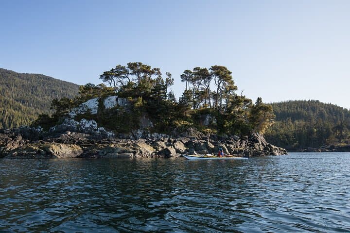 Telegraph Cove Guided Kayak Tour: 2-Hour Paddle Through Johnstone Strait photo 5