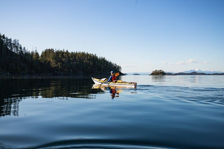 Telegraph Cove Guided Kayak Tour: 2-Hour Paddle Through Johnstone Strait