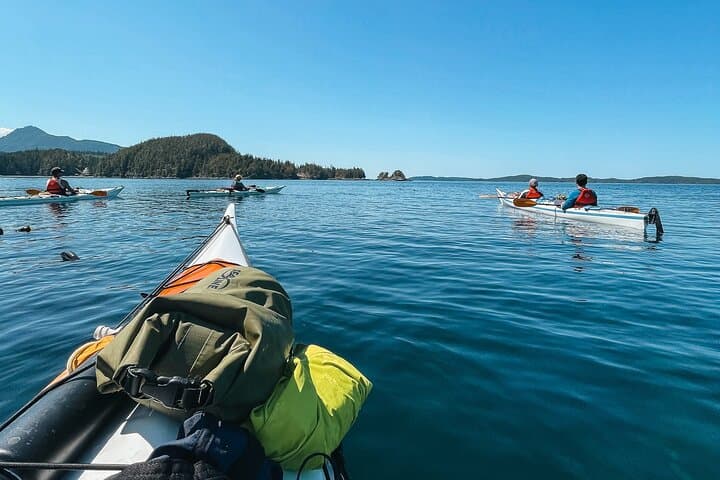Telegraph Cove Guided Kayak Tour: 2-Hour Paddle Through Johnstone Strait photo 2