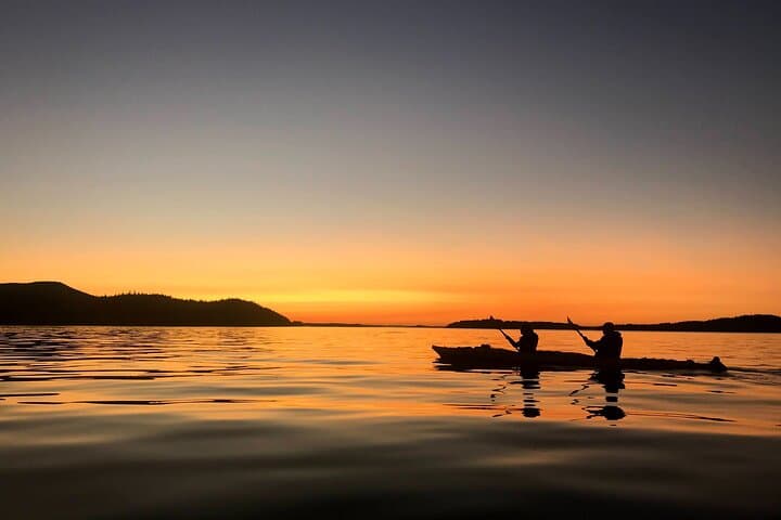 Evening Kayak in Johnstone Strait: 2-Hour Telegraph Cove Wildlife Paddle photo 4