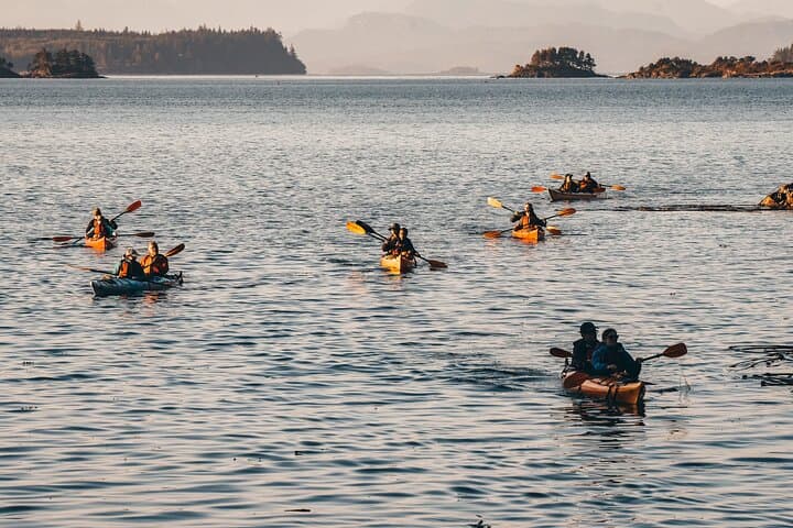 Evening Kayak in Johnstone Strait: 2-Hour Telegraph Cove Wildlife Paddle photo 5