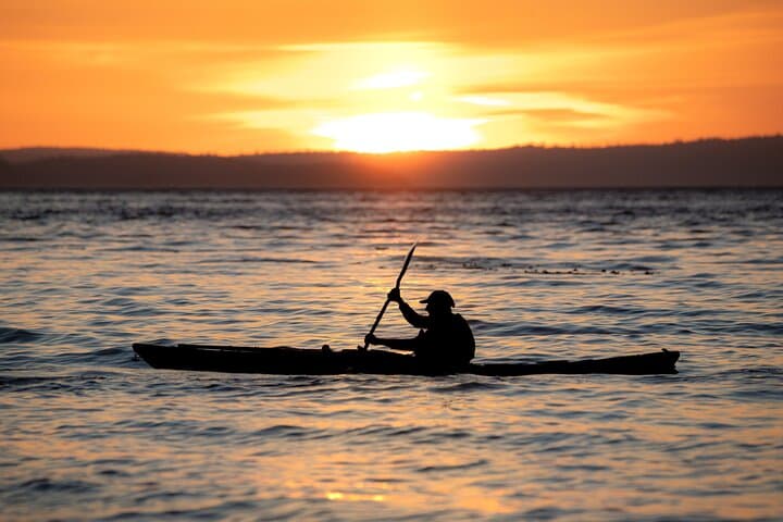 Evening Kayak in Johnstone Strait: 2-Hour Telegraph Cove Wildlife Paddle