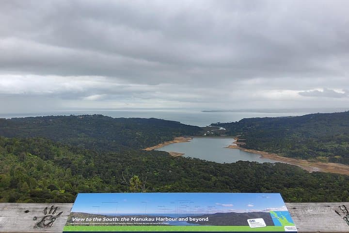 Auckland West Coast Wilderness Private Tour: Piha, Arataki & Rainforest Day Trip photo 6