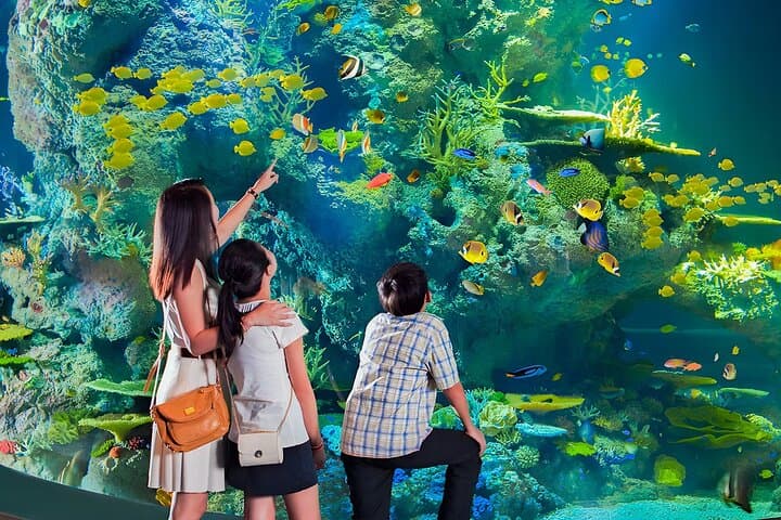 Universal Studios Singapore + Gardens by the Bay: One-Day Combo Guide photo 2