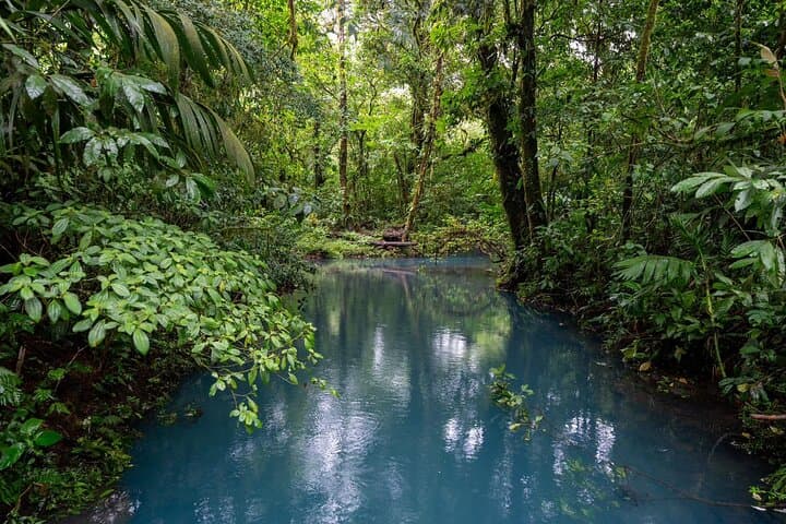 Rio Celeste & Tenorio Volcano Hike: Blue River Waterfall, Hot Springs & Los Teñideros photo 4