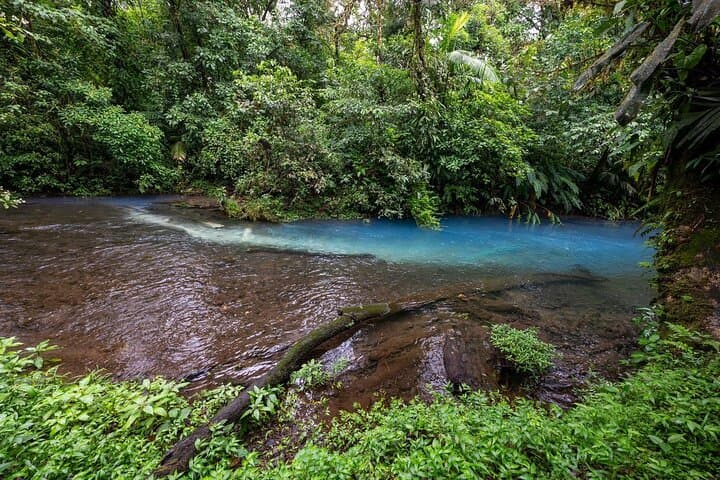 Rio Celeste & Tenorio Volcano Hike: Blue River Waterfall, Hot Springs & Los Teñideros photo 6