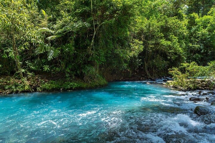 Rio Celeste & Tenorio Volcano Hike: Blue River Waterfall, Hot Springs & Los Teñideros photo 5