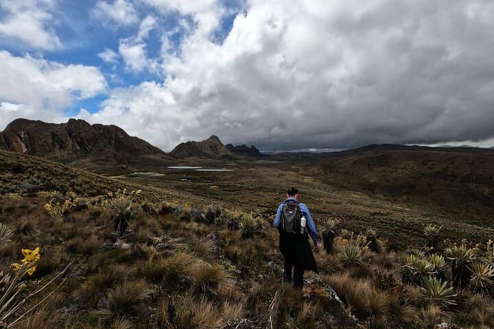 Sumapaz Páramo Day Hike: Water Guardians and Frailejones near Bogotá