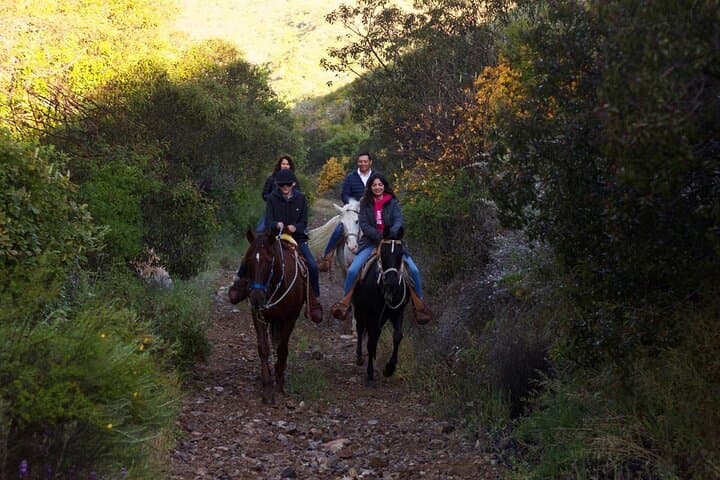 Horseback Riding in the Ensenada Mountains: Guided Trail Ride Near Valle de Guadalupe