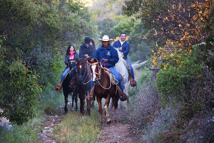 Horseback Riding in the Ensenada Mountains: Guided Trail Ride Near Valle de Guadalupe photo 4
