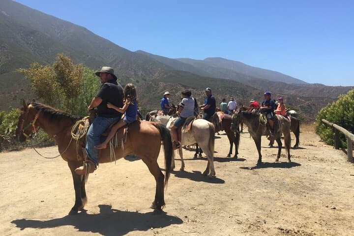 Horseback Riding in the Ensenada Mountains: Guided Trail Ride Near Valle de Guadalupe photo 5