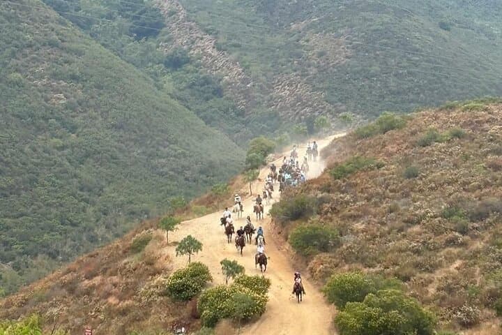 Horseback Riding in the Ensenada Mountains: Guided Trail Ride Near Valle de Guadalupe photo 6