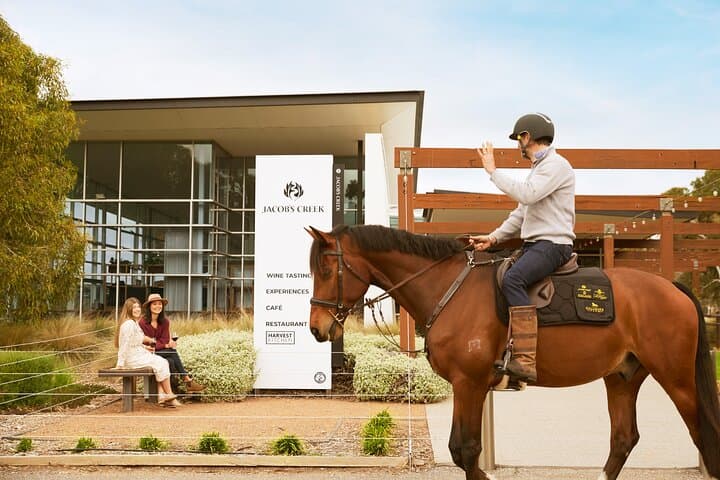 Vineyard Trail Ride and Wine Tasting at Jacob's Creek — Horseback Through the Barossa