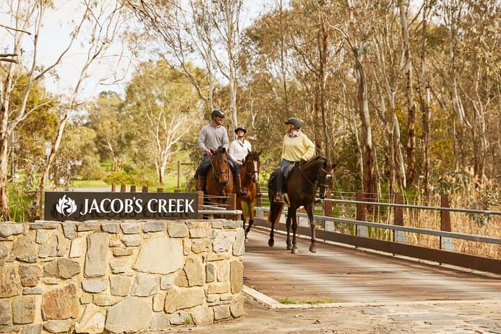 Vineyard Trail Ride and Wine Tasting at Jacob's Creek — Horseback Through the Barossa photo 2