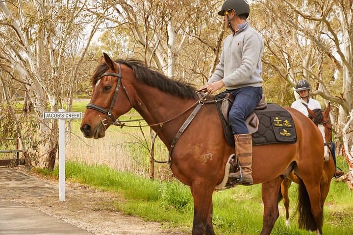Vineyard Trail Ride and Wine Tasting at Jacob's Creek — Horseback Through the Barossa photo 5
