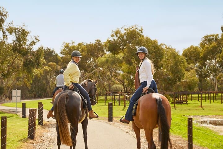 Jacobs Creek Horseback Picnic: Romantic Vineyard Ride in Barossa Valley