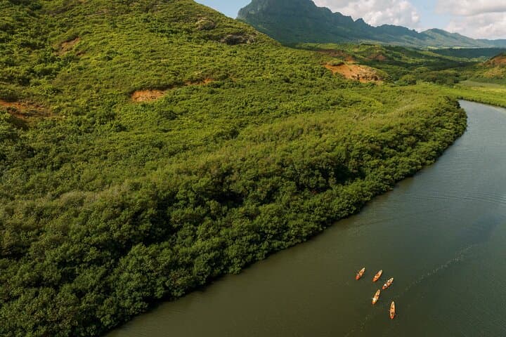 Hidden Valley Falls Kayak & Jungle Hike — Nawiliwili River Adventure photo 6