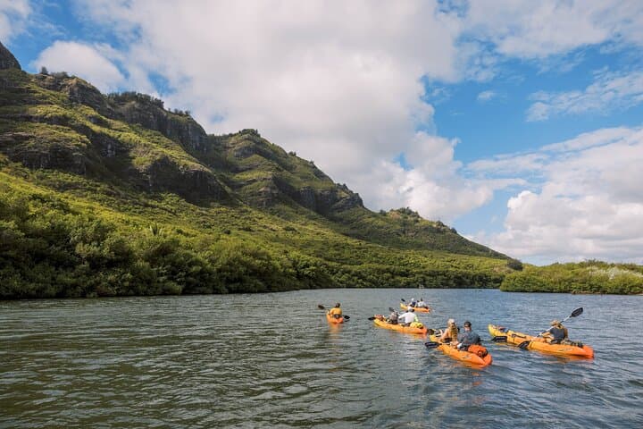 Hidden Valley Falls Kayak & Jungle Hike — Nawiliwili River Adventure photo 4