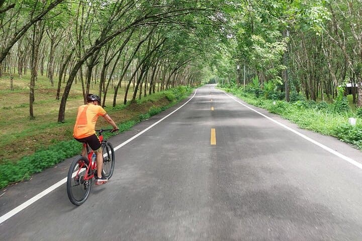 Thai Mueang Waterfalls & Lakes Cycling Tour from Phuket — Half-Day Adventure photo 2