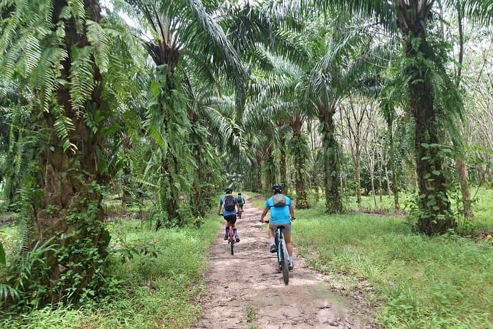 Phuket to Tone Phrai Waterfall: Half-Day Countryside Bike Tour photo 2