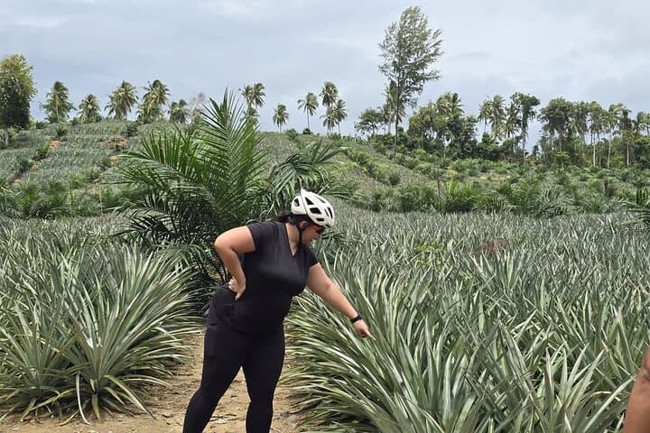 Phuket to Tone Phrai Waterfall: Half-Day Countryside Bike Tour photo 5