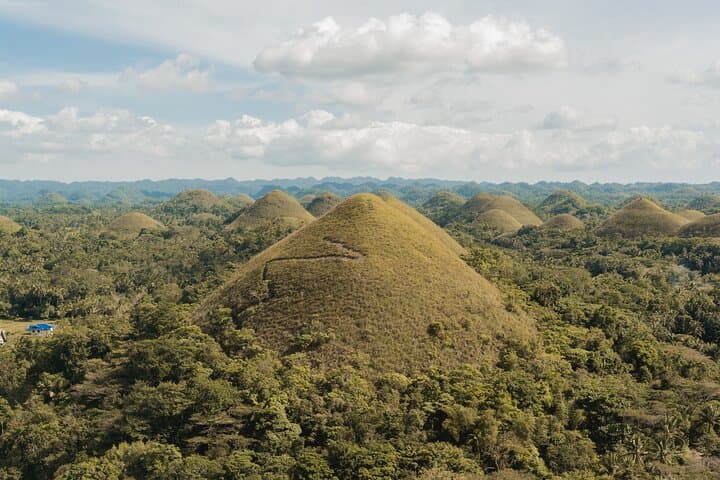 Bohol Countryside Tour: Chocolate Hills, Tarsier Sanctuary & Loboc River Cruise photo 1