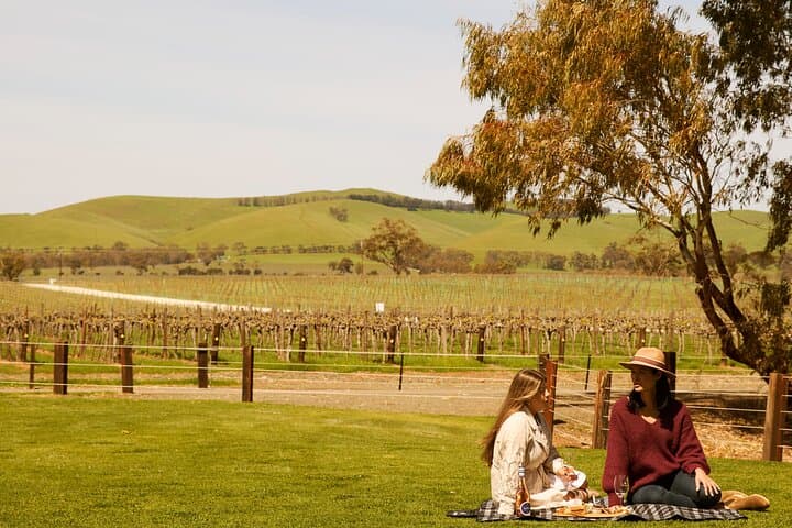 Jacobs Creek Horseback Picnic: Romantic Vineyard Ride in Barossa Valley photo 2