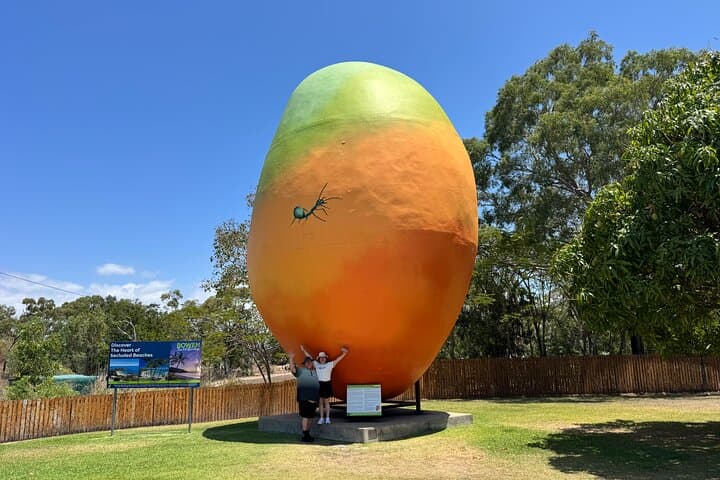 Bowen Beaches Day Tour from Airlie Beach — Best Lookouts, Bays & Local Eats photo 6