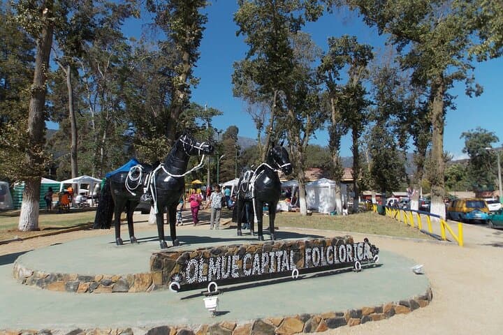 Private Day Trip to La Campana National Park and Olmué from Santiago photo 3