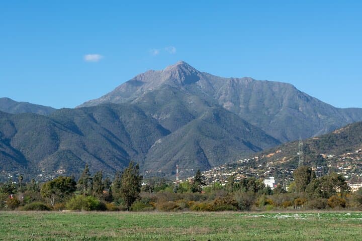 Private Day Trip to La Campana National Park and Olmué from Santiago photo 4