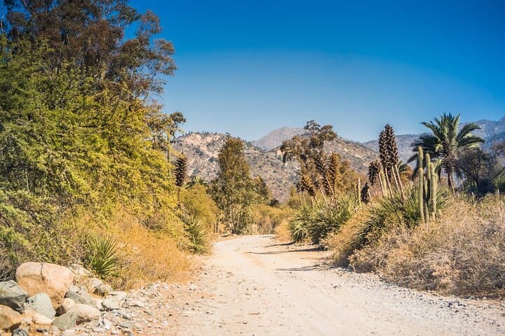 Private Day Trip to La Campana National Park and Olmué from Santiago photo 5