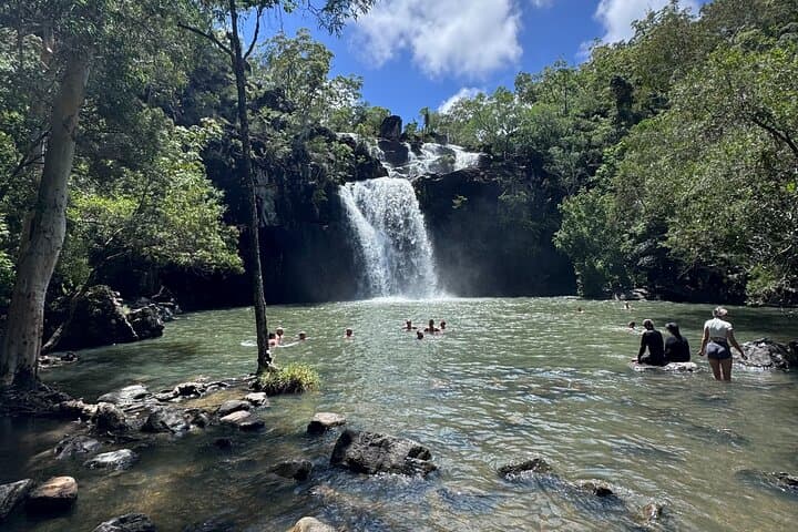 Cedar Creek Express from Airlie Beach — Half-Day Rainforest Walk & Waterhole Swim