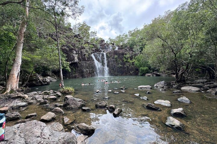 Cedar Creek Express from Airlie Beach — Half-Day Rainforest Walk & Waterhole Swim photo 2