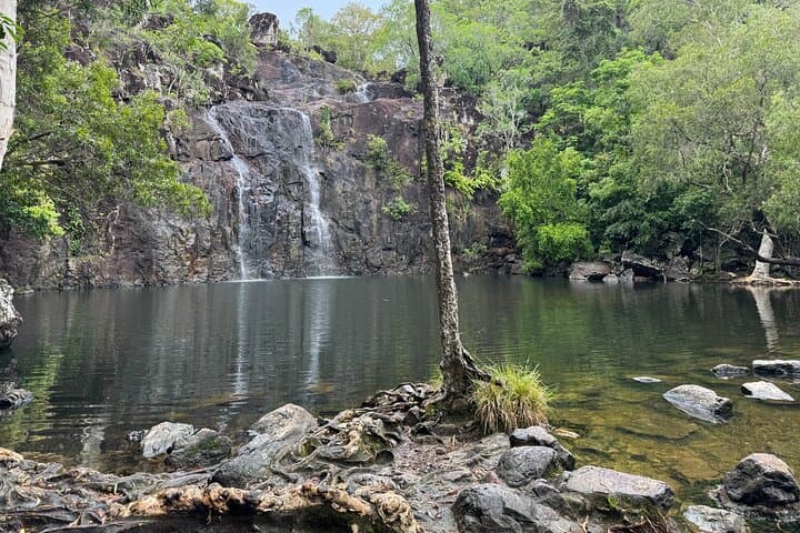 Cedar Creek Express from Airlie Beach — Half-Day Rainforest Walk & Waterhole Swim photo 5