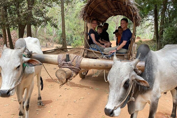Private Day Trip to Sigiriya from Kaluthara: Climb Lion Rock & Village Life photo 3