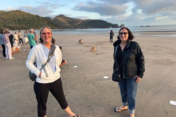 Dawn Kangaroos at Cape Hillsborough — Airlie Beach Sunrise Wildlife Tour photo 3