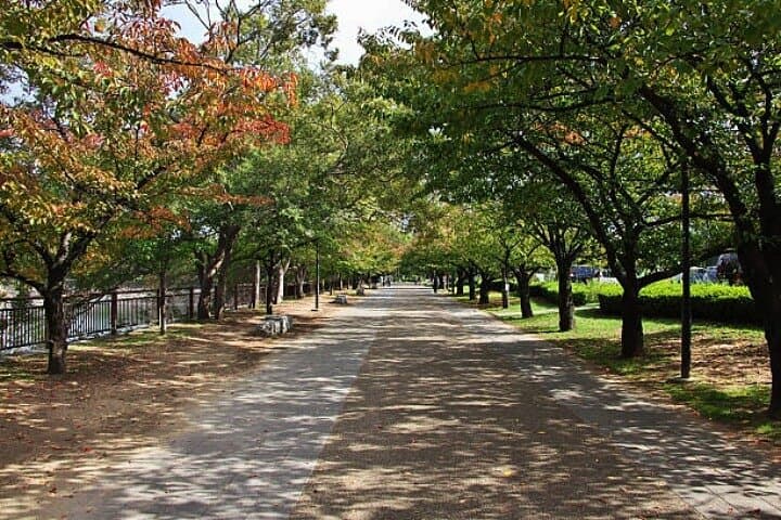 Private Full-Day Himeji and Kobe Tour — Himeji Castle, Kokoen & Kobe Harborland photo 3