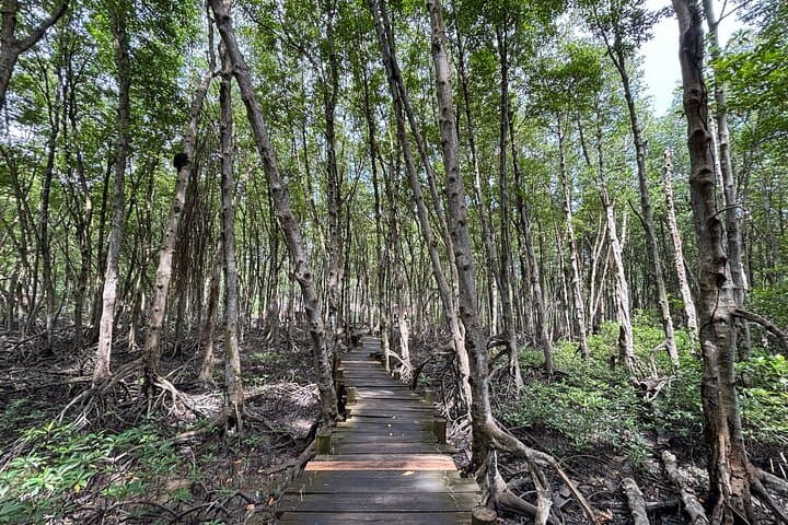 Can Gio Mangrove Forest Day Trip from Ho Chi Minh City