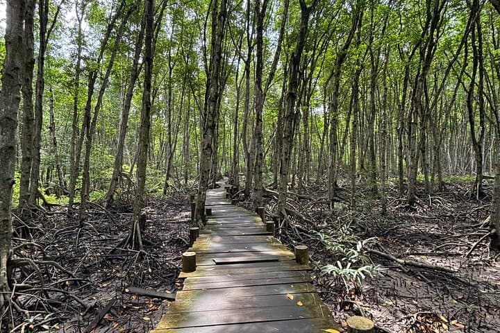 Can Gio Mangrove Forest Day Trip from Ho Chi Minh City photo 5