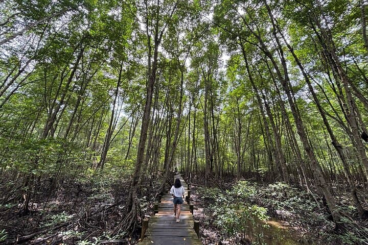 Can Gio Mangrove Forest Day Trip from Ho Chi Minh City photo 6